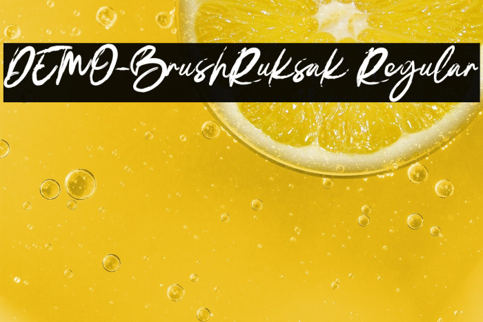 DEMO-BrushRuksak Regular Example 3