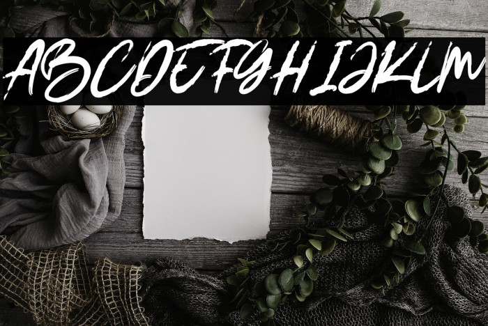 DEMOBrushRuksak-Regular Example 2