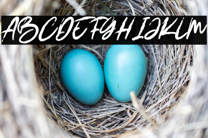 DEMOBrushRuksak-Regular Example 3