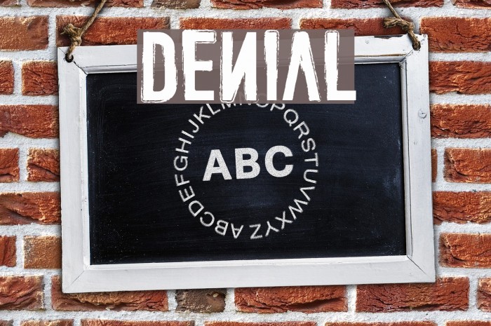 DENIAL Font examples