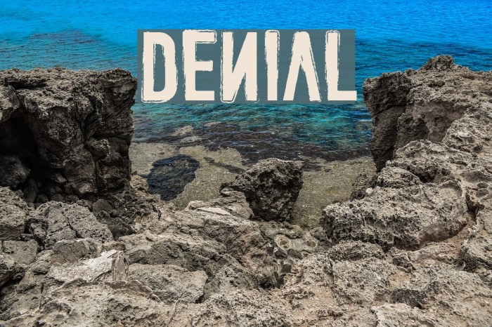 DENIAL Font examples