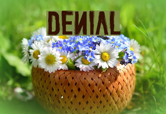 DENIAL Font examples