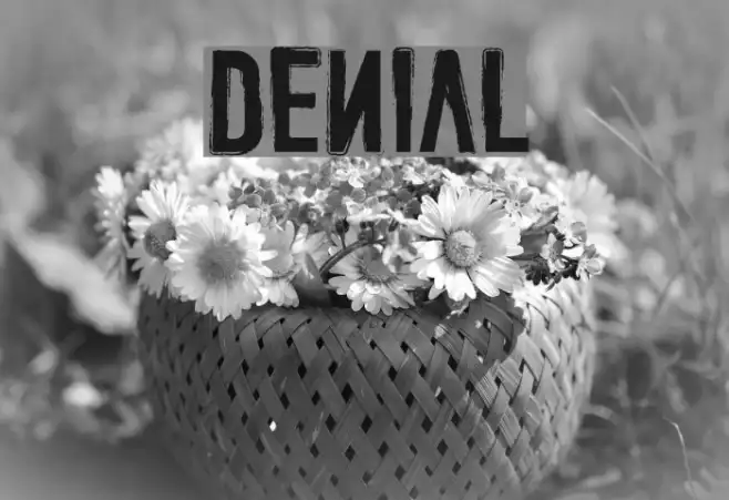 DENIAL Example 3