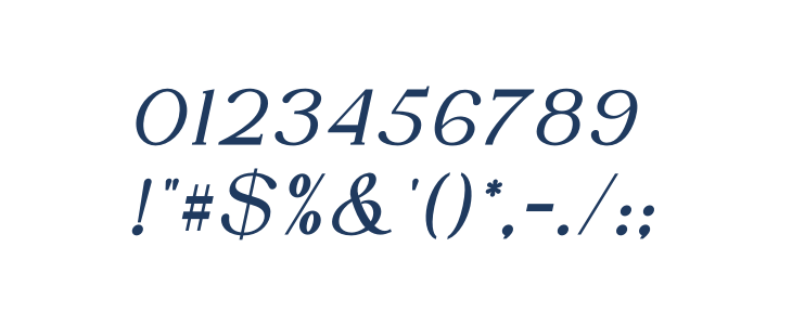 DENOVA Bold Italic Other Characters