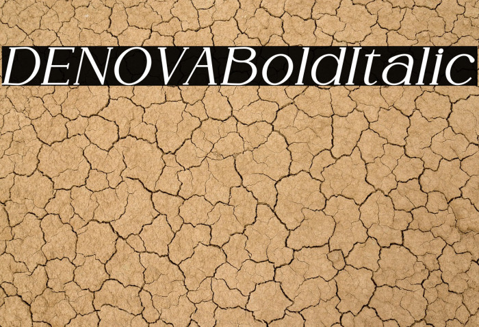 DENOVA Bold Italic Example 2