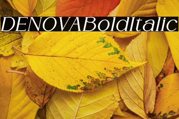 DENOVA Bold Italic Example 3