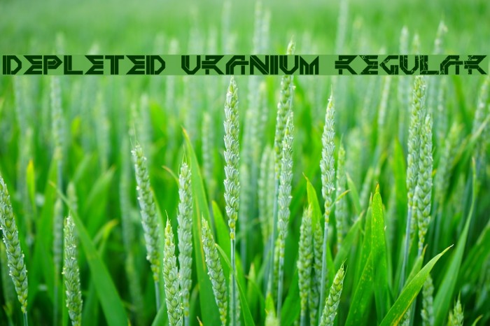 DEPLETED URANIUM Regular Font examples