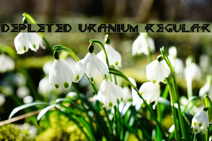 DEPLETED URANIUM Regular Font examples
