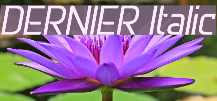 DERNIER Italic Font examples