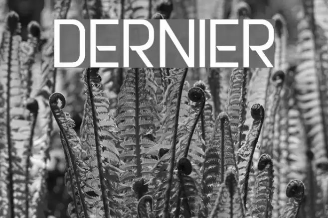 DERNIER Font examples
