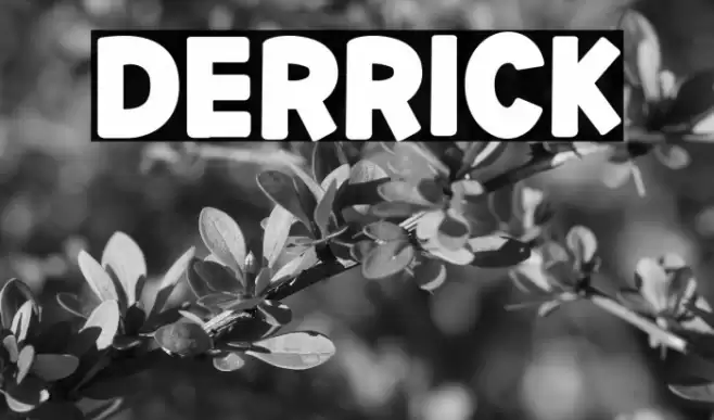 DERRICK फ़ॉन्ट examples