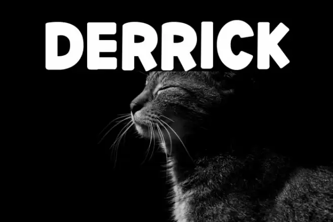 DERRICK फ़ॉन्ट examples