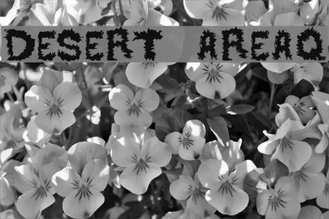 DESERT AREA-Q Font examples
