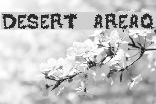 DESERT AREA-Q Font examples