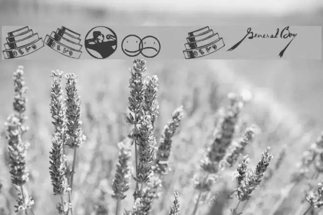 DEVO Dingbats 10 Font examples