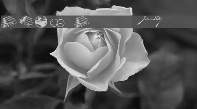 DEVO Dingbats 13 Font examples