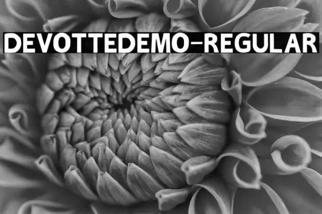 DEVOTTEDEMO-Regular Example 1