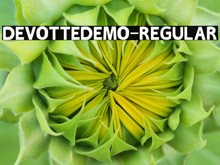 DEVOTTEDEMO-Regular Example 2
