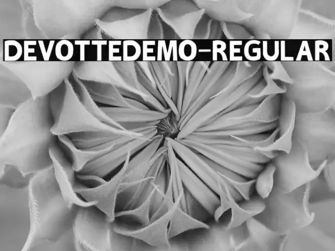 DEVOTTEDEMO-Regular Example 2
