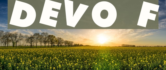 DEVO Font examples