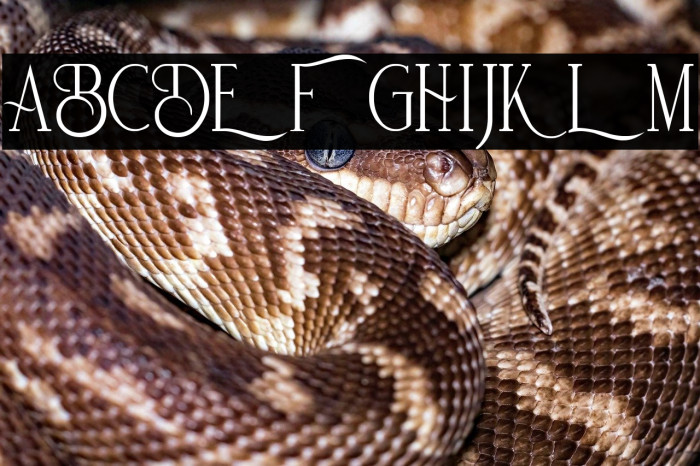 De Bambeet Example 1