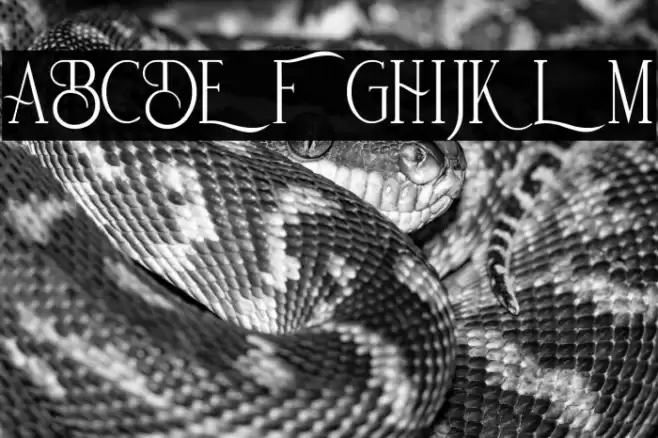 De Bambeet Font examples