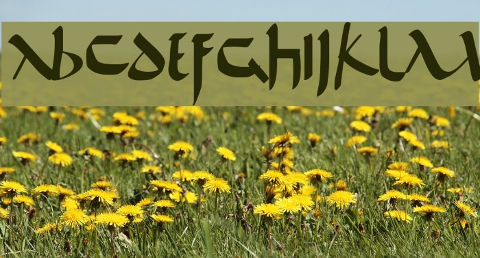 De Bellis Font examples
