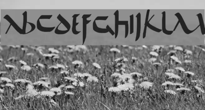 De Bellis Font examples