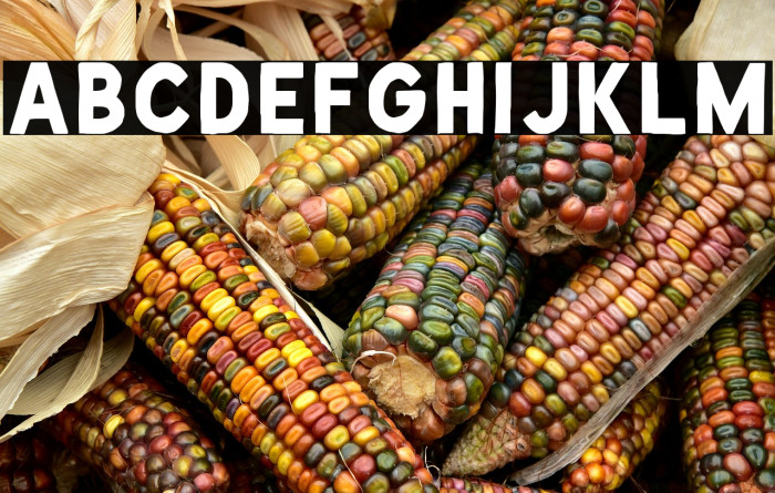 De Facto Zamosc Example 1