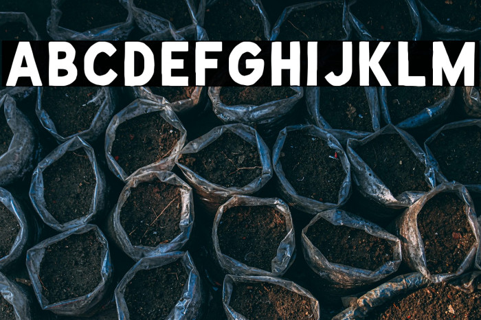 De Facto Zamosc Example 2