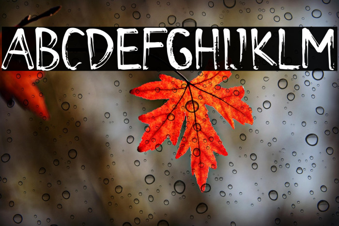 De La Rocha Demo Example 2