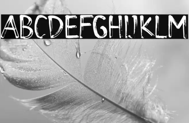 De La Rocha Demo Font examples