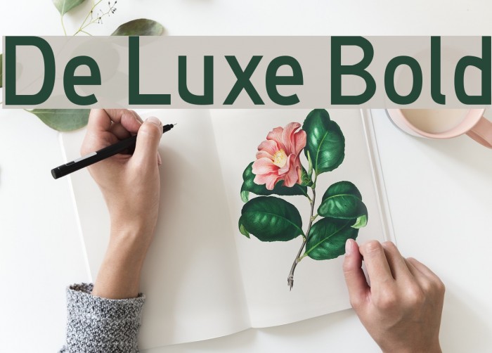 De Luxe Bold Font examples