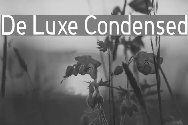 De Luxe Condensed Font examples