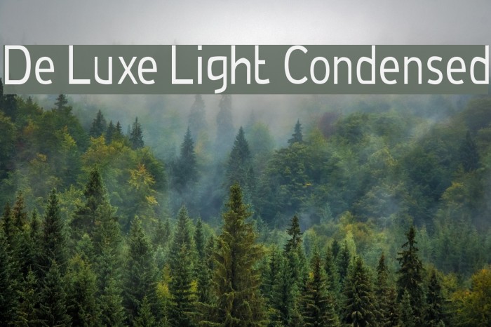 De Luxe Light Condensed Font examples