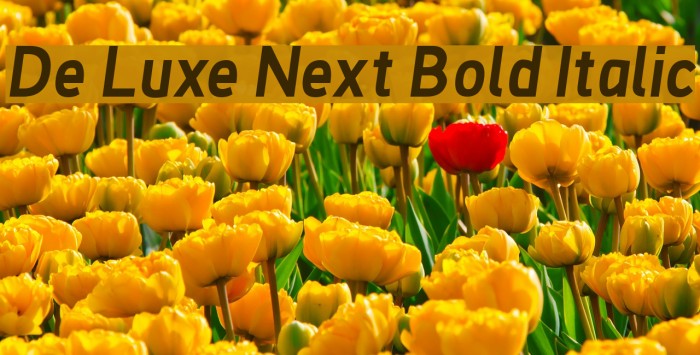De Luxe Next Bold Italic Font examples