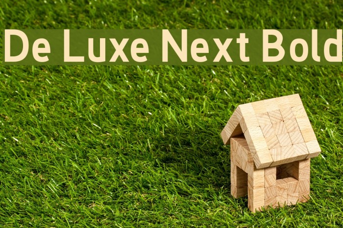 De Luxe Next Bold Font examples
