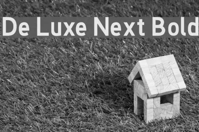 De Luxe Next Bold Font examples