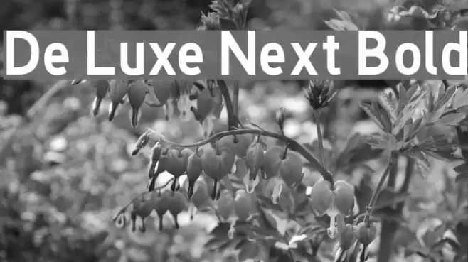 De Luxe Next Bold Font examples