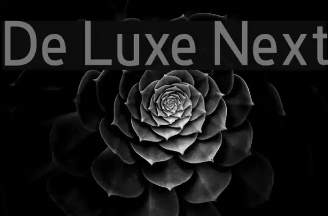 De Luxe Next Font examples