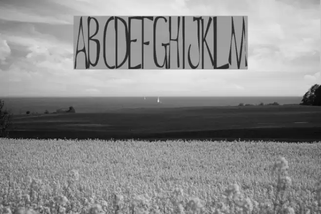 De Regular ttnorm Font examples