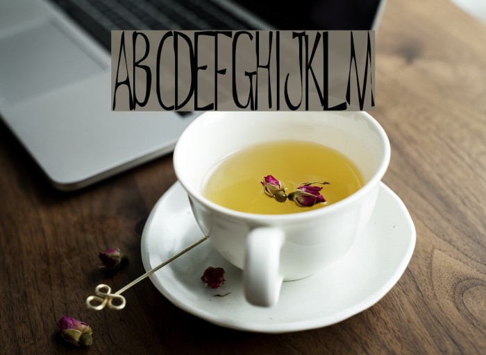 De Regular ttnorm Font examples