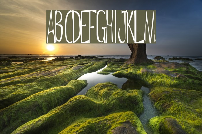 De Regular ttnorm Font examples