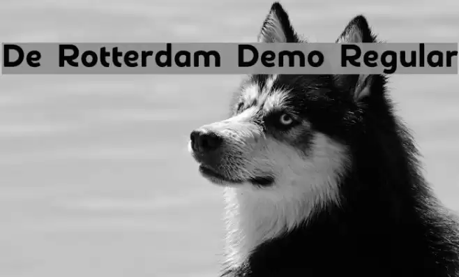 De Rotterdam Demo Regular Font examples