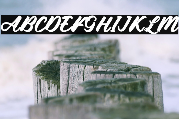 De Sandey Demo Reg Example 1