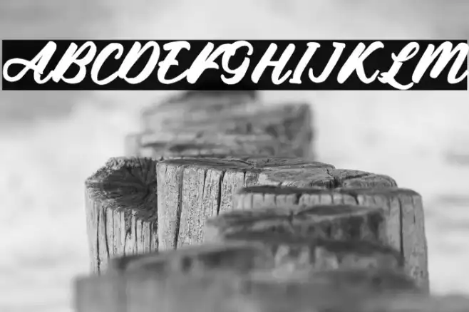 De Sandey Demo Reg Example 1