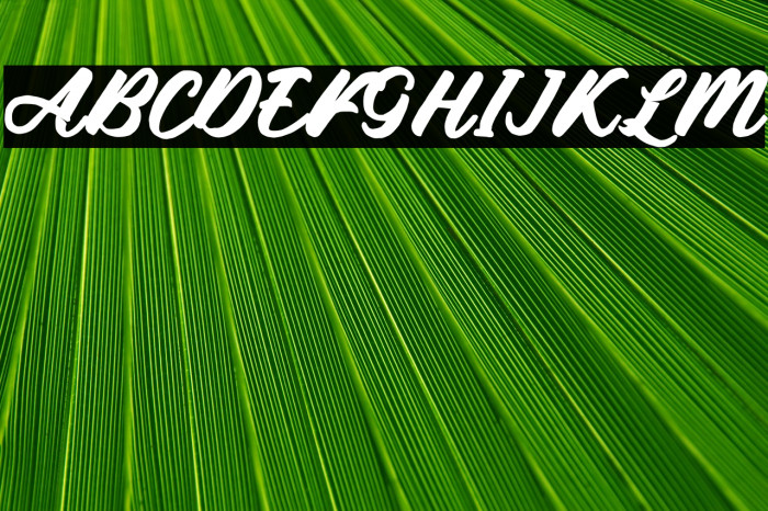 De Sandey Demo Reg Example 3