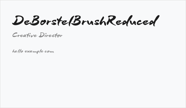 DeBorstelBrushReduced Business Card