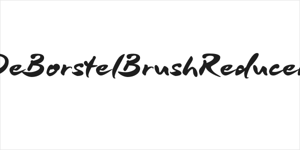 DeBorstelBrushReduced Logo