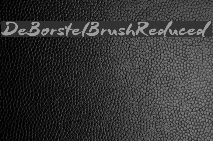 DeBorstelBrushReduced Example 1